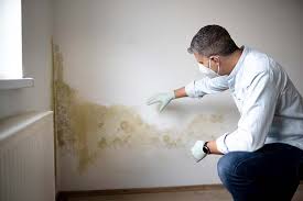 Best HVAC Mold Inspection and Cleaning  in Conrad, IA